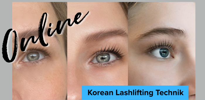 Onlineschulung Korean Lash Lifting